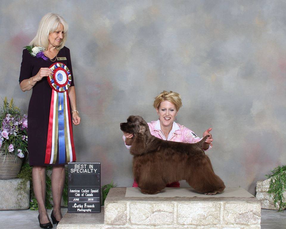 Jury winning best in specialty show