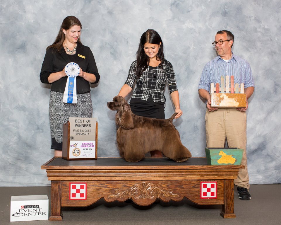 Jury BOW at Zone 1 Specialty Show , July 24, 2016