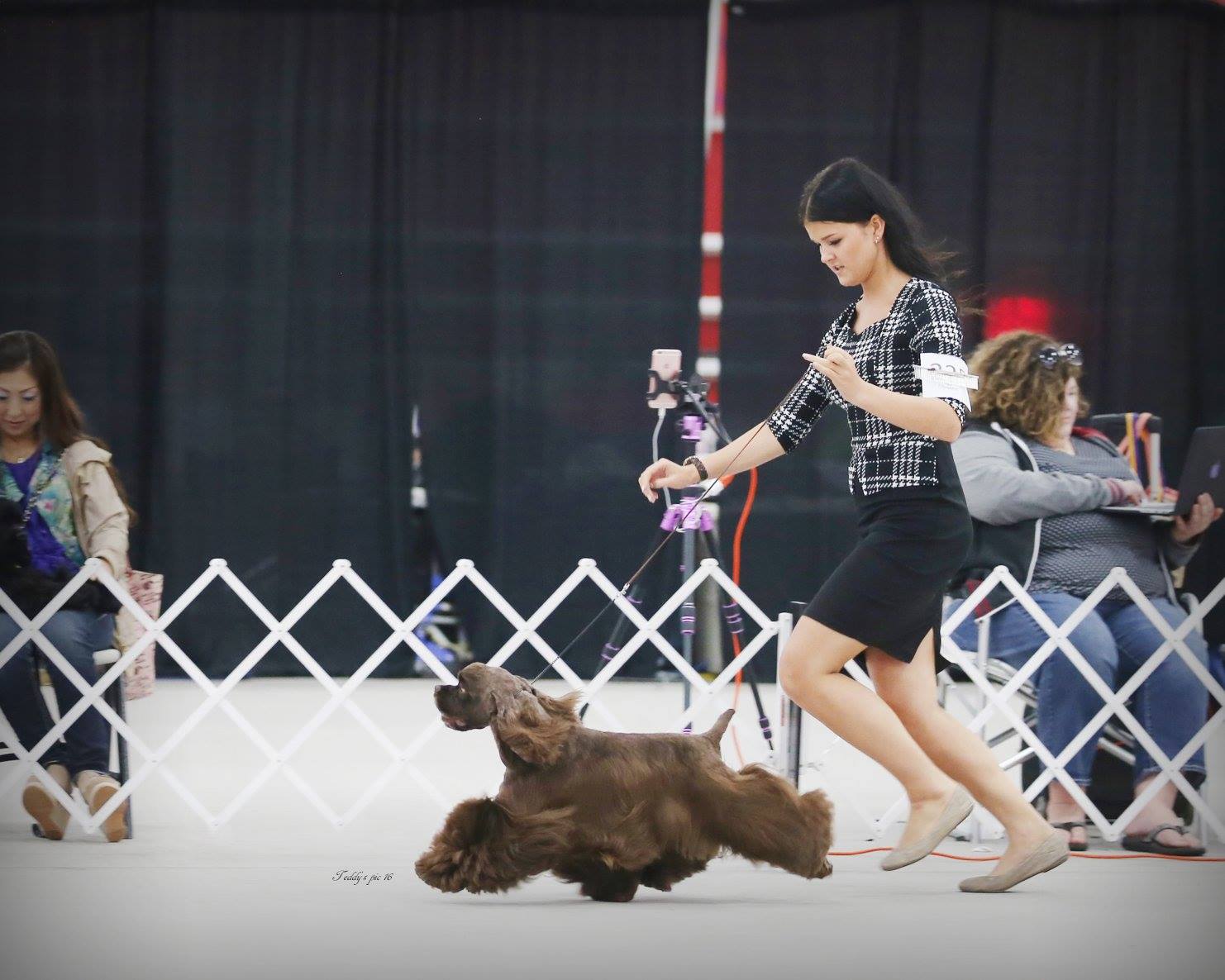 Moving Photo of Jury at American Spaniel CLub show July 23, 2016