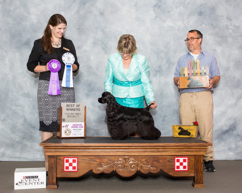 Piper BOW Zone 1 Shows